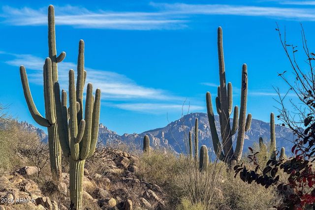 1313 W TORTOLITA MOUNTAIN Circle, Oro Valley, AZ 85755