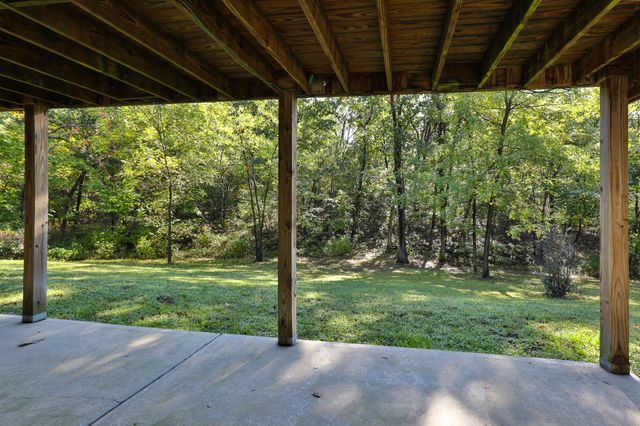 8 Dallion Ford Lane, Buffalo, MO 65622