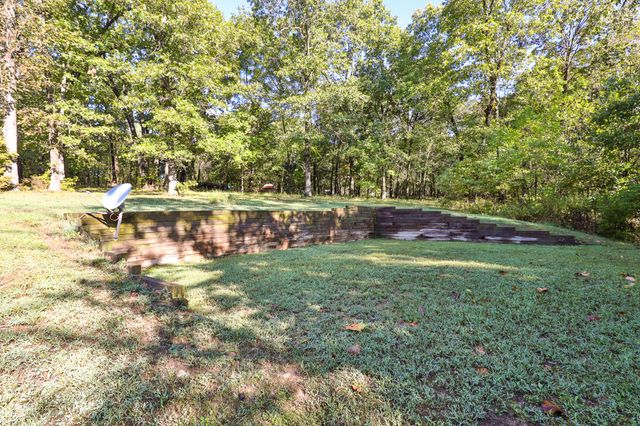 8 Dallion Ford Lane, Buffalo, MO 65622