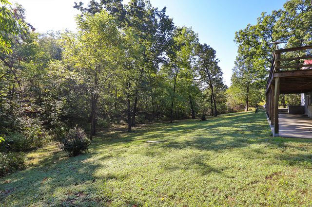 8 Dallion Ford Lane, Buffalo, MO 65622