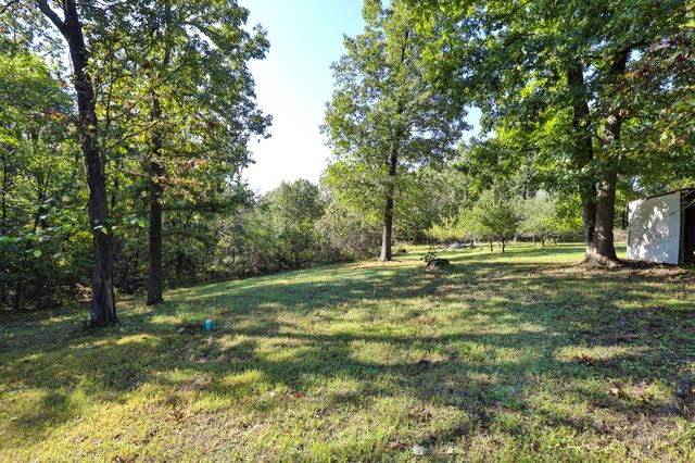 8 Dallion Ford Lane, Buffalo, MO 65622