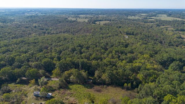 8 Dallion Ford Lane, Buffalo, MO 65622