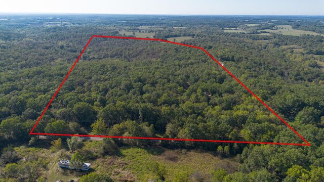 8 Dallion Ford Lane, Buffalo, MO 65622