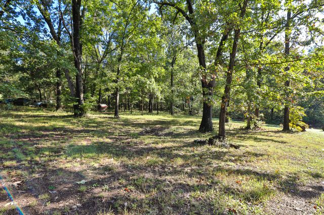 8 Dallion Ford Lane, Buffalo, MO 65622