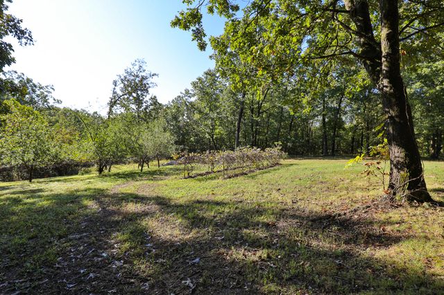 8 Dallion Ford Lane, Buffalo, MO 65622