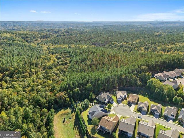 319 Laurel Lookout Hills, Canton, GA 30114