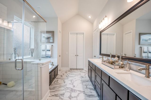 41843 Wendele Way, Todd Mission, TX 77316