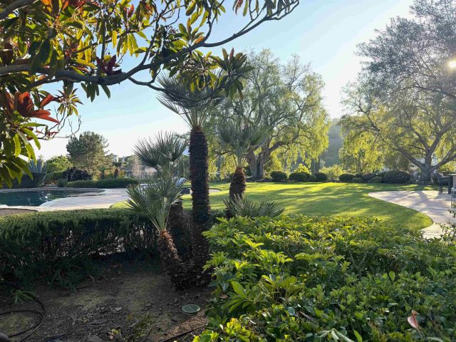17813 La Amapola, Rancho Santa Fe, CA 92067