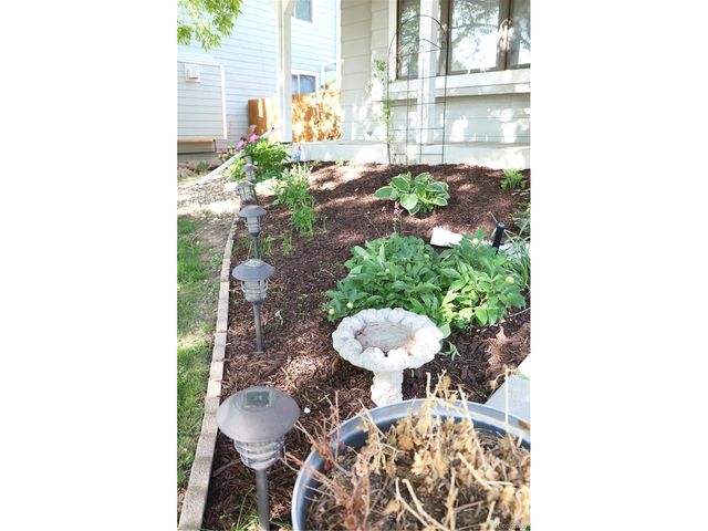 1508 Daphne St, Broomfield, CO 80020