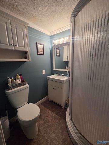 769 Mayberry Lane, Arab, AL 35016