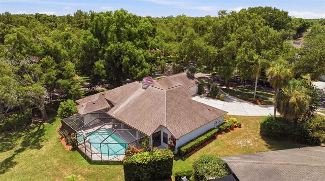16501 BLENHEIM DRIVE, Lutz, FL 33549