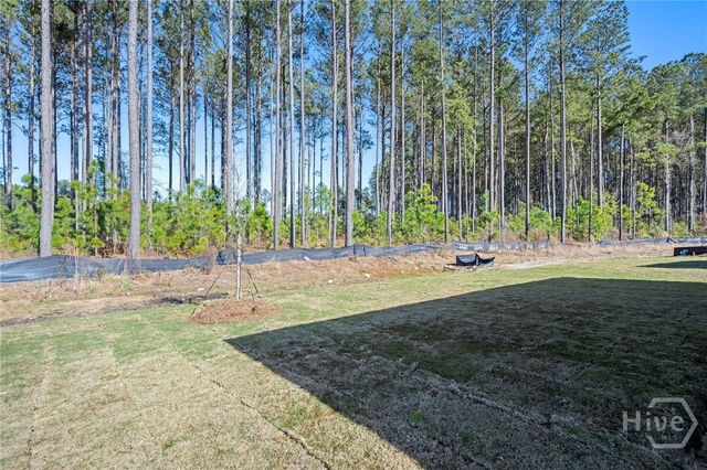 51 Lilac Way, Richmond Hill, GA 31324