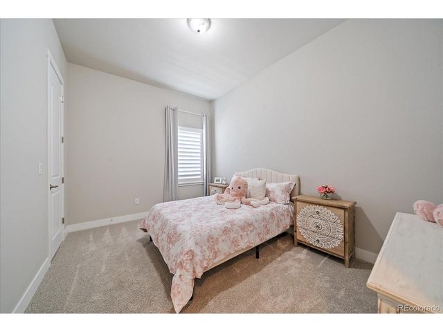 3236 Offbeaten Pl, Castle Rock, CO 80108