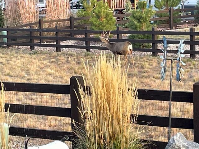 3236 Offbeaten Pl, Castle Rock, CO 80108