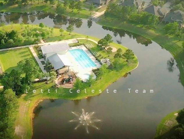 17514 Rosette Grass Drive, Conroe, TX 77385