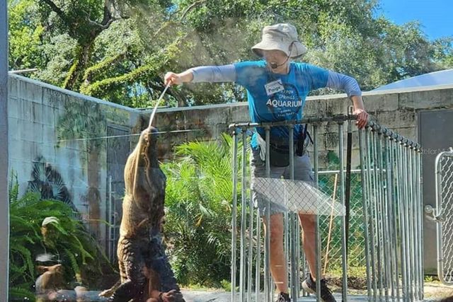 9981 EAGLES POINT CIRCLE 4, Port Richey, FL 34668