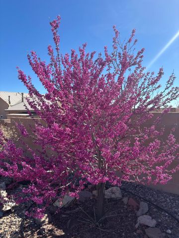 1916 Sonora Road NE, Rio Rancho, NM 87144