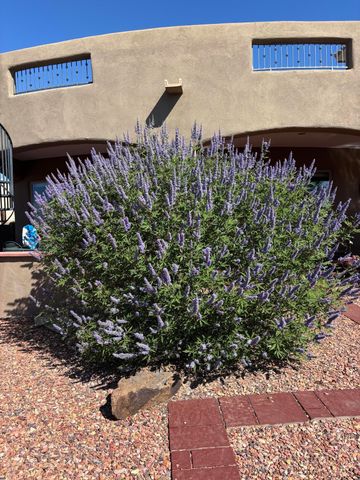 1916 Sonora Road NE, Rio Rancho, NM 87144