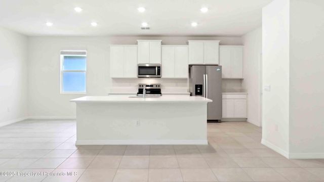 11355 Curio Drive, Brooksville, FL 34613