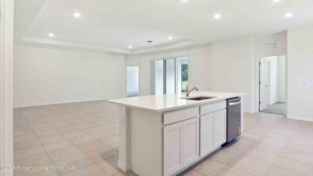 11355 Curio Drive, Brooksville, FL 34613