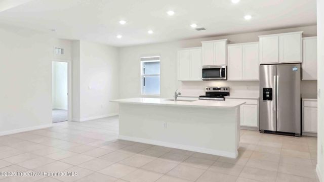 11355 Curio Drive, Brooksville, FL 34613