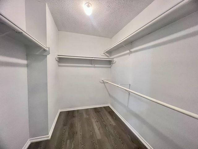 14303 Kincheloe ST, Austin, TX 78725