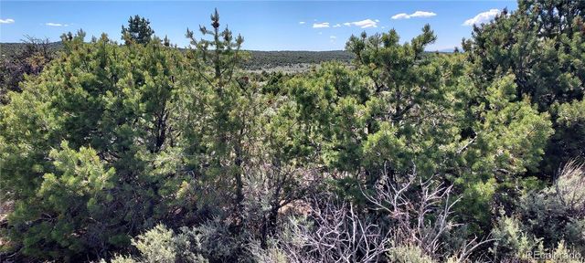 Michaels, San Luis, CO 81152