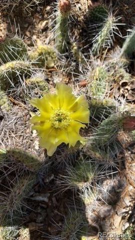 Michaels, San Luis, CO 81152