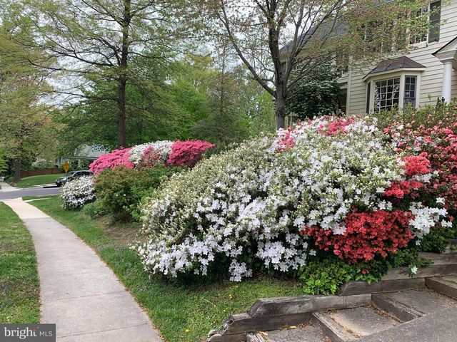 6807 MEADOW LN, Chevy Chase, MD 20815