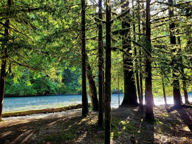 340 Appaloosa Drive, Brinnon, WA 98320