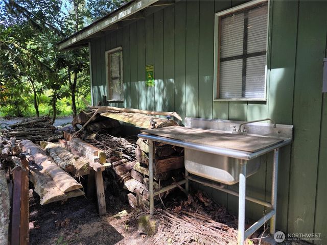 340 Appaloosa Drive, Brinnon, WA 98320