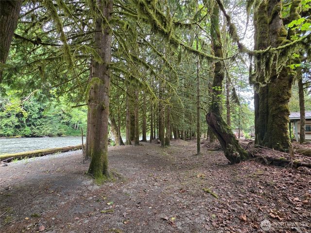 340 Appaloosa Drive, Brinnon, WA 98320