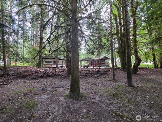 340 Appaloosa Drive, Brinnon, WA 98320