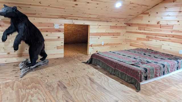 8832 River Road, Angora, MN 55703