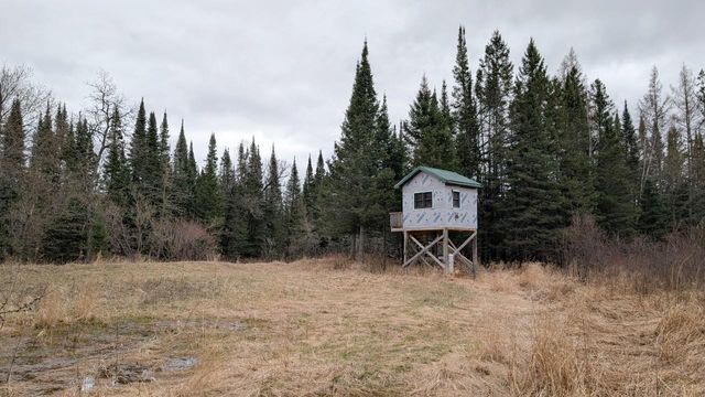 8832 River Road, Angora, MN 55703