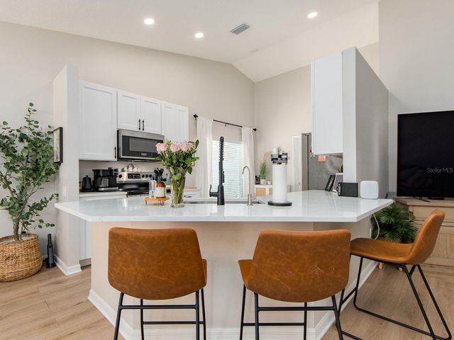 1700 BLUE LAKE COURT, Tarpon Springs, FL 34689