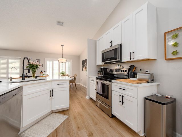1700 BLUE LAKE COURT, Tarpon Springs, FL 34689