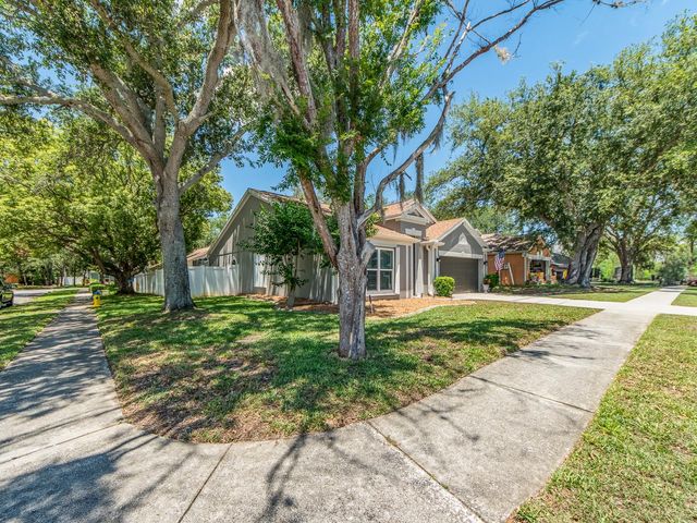 1700 BLUE LAKE COURT, Tarpon Springs, FL 34689