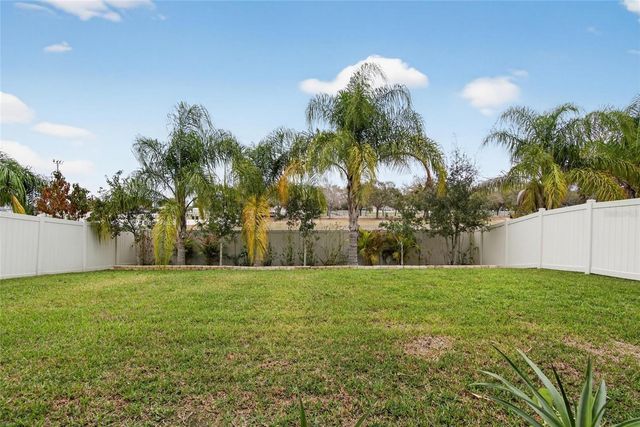 10824 WHITLAND GROVE DRIVE, Riverview, FL 33578