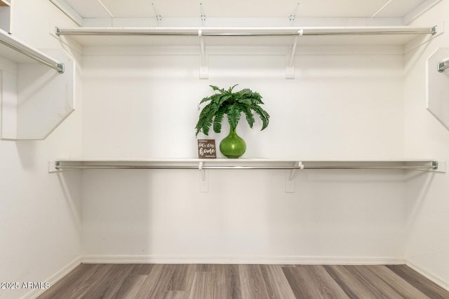 5660 S COLT --, Mesa, AZ 85212