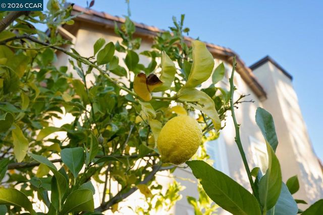 5408 5408 Oakstone Ct, Concord, CA 94521