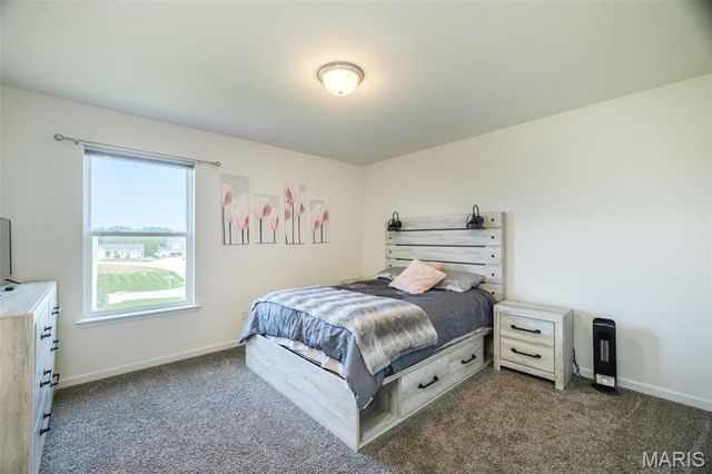 463 Birchwood Drive, Moscow Mills, MO 63362