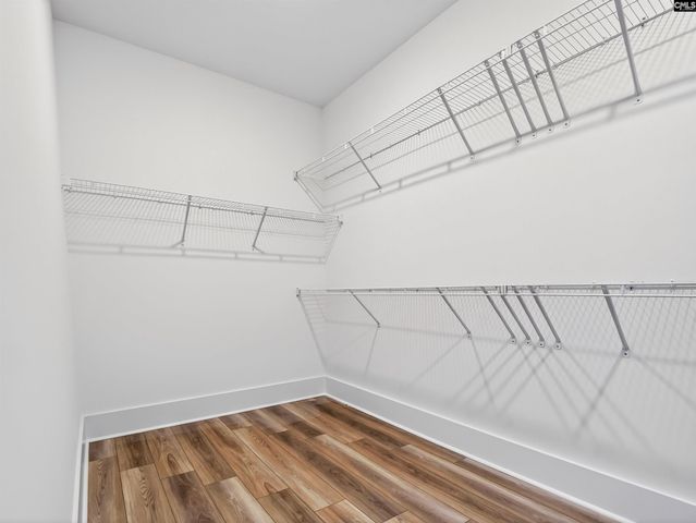 13 Elk Run Court, Chapin, SC 29036