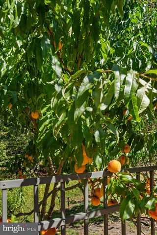 1005 STUART RD, Princeton, NJ 08540