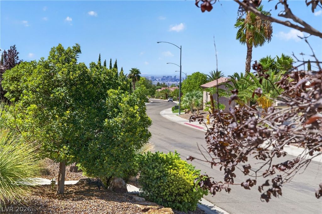 2389 Black River Falls Drive, Henderson, NV 89044 — photo 4