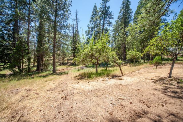 8370 Grizzly Flat Rd, Somerset, CA 95684