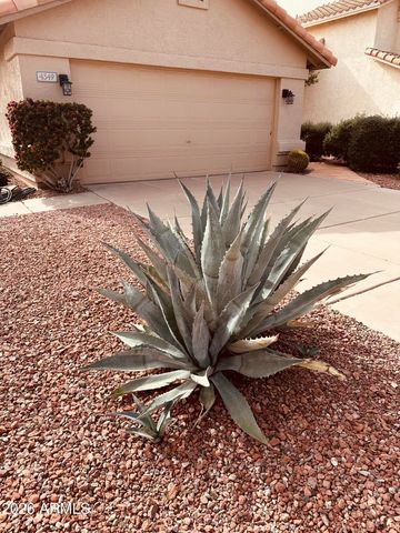 4349 E CHUCKWALLA Canyon, Phoenix, AZ 85044