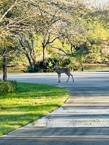 310 Forest Creek Drive, League City, TX 77573