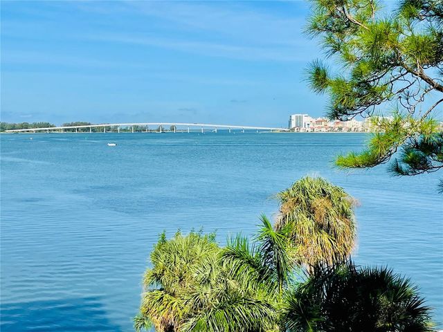 602 LIME AVENUE 303, Clearwater, FL 33756
