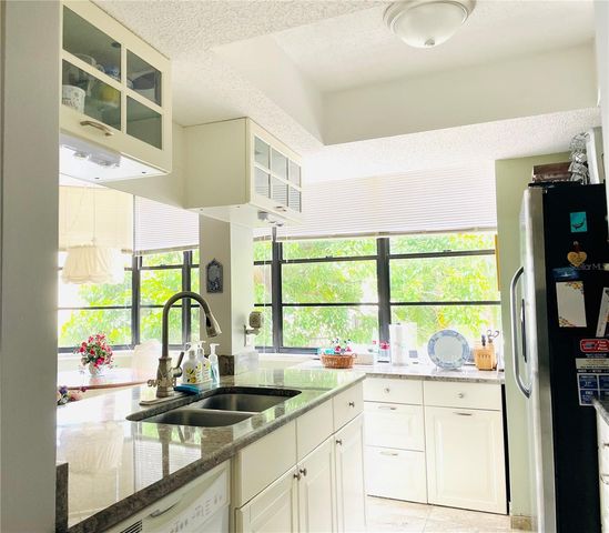 602 LIME AVENUE 303, Clearwater, FL 33756